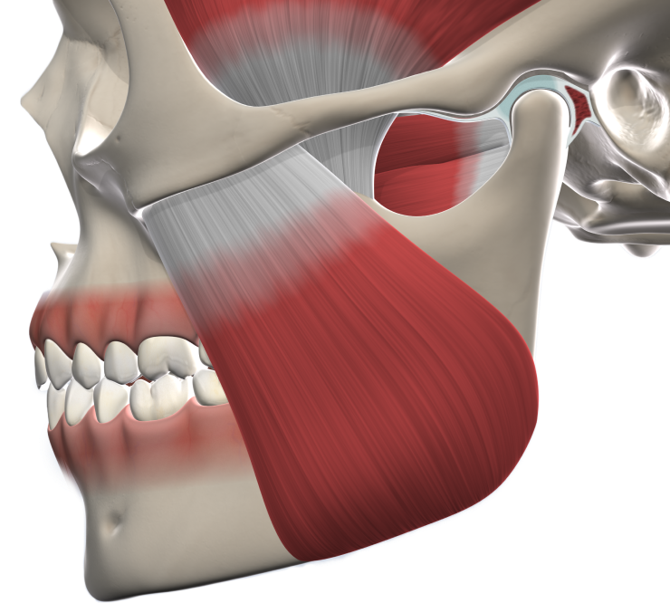 Isolated  tmj surgery  mobile